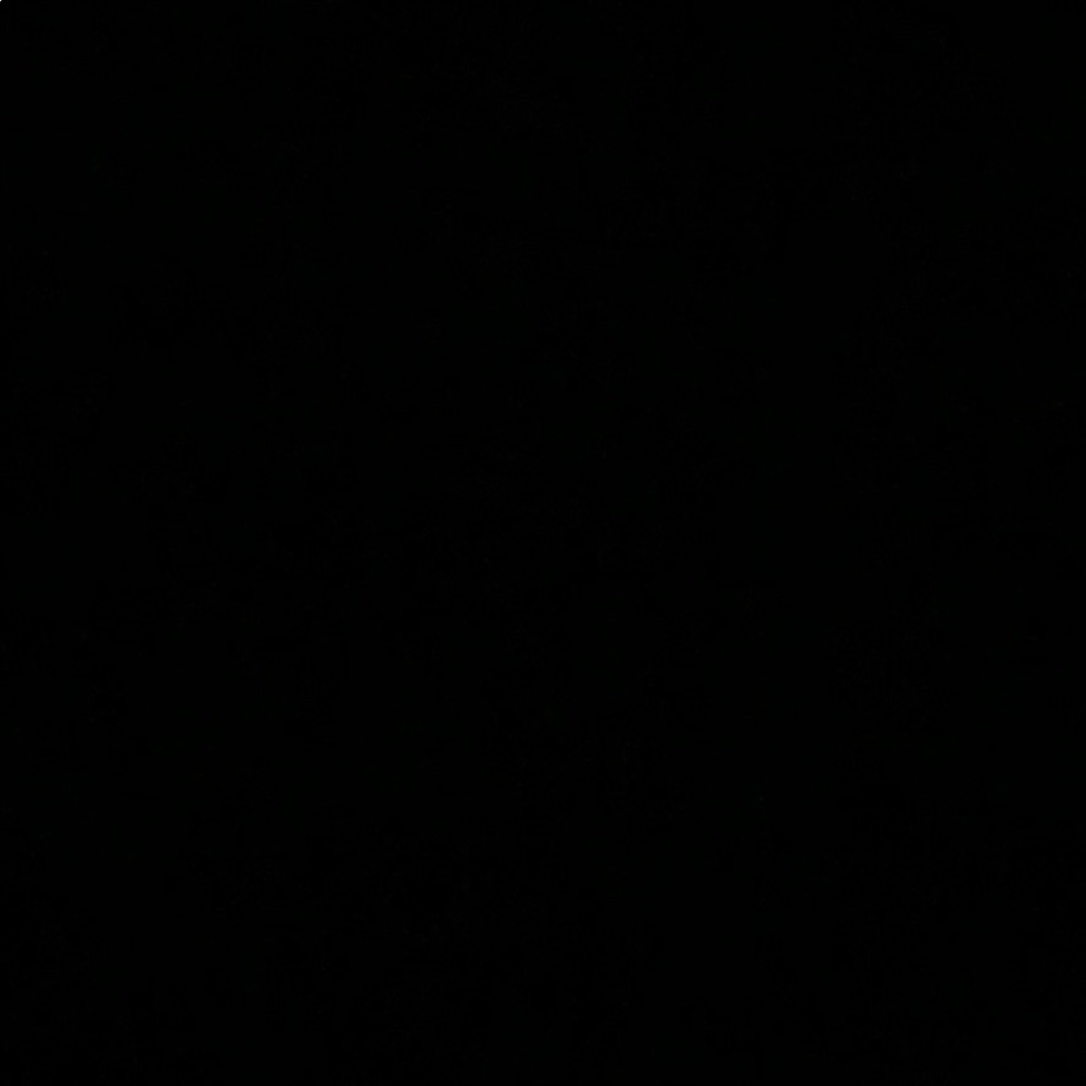 Meet your Posher, Paige